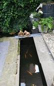 Туры в отель Residence Marie-Therese Туры в отель Residence Marie-Therese
