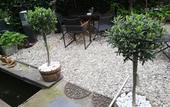 Туры в отель Residence Marie-Therese Туры в отель Residence Marie-Therese