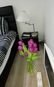 Туры в отель Residence Marie-Therese Туры в отель Residence Marie-Therese