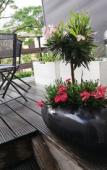 Туры в отель Residence Marie-Therese Туры в отель Residence Marie-Therese