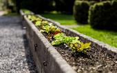 Туры в отель Chateau de Vignee Туры в отель Chateau de Vignee