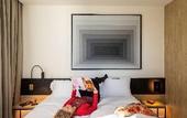 Туры в отель Ibis Brussels Groot Bijgaarden Туры в отель Ibis Brussels Groot Bijgaarden