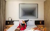 Туры в отель Ibis Brussels Groot Bijgaarden Туры в отель Ibis Brussels Groot Bijgaarden