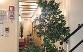 Туры в отель Residence la Fraisiere Туры в отель Residence la Fraisiere
