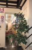 Туры в отель Residence la Fraisiere Туры в отель Residence la Fraisiere