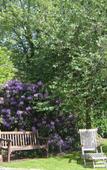 Туры в отель Wisteria Туры в отель Wisteria