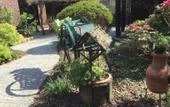 Туры в отель Wisteria Туры в отель Wisteria