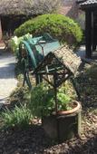 Туры в отель Wisteria Туры в отель Wisteria