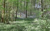 Туры в отель Wisteria Туры в отель Wisteria
