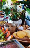 Туры в отель Pousada Terra Madre Туры в отель Pousada Terra Madre