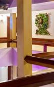 Туры в отель Quinta do Sol Lite Hotel Туры в отель Quinta do Sol Lite Hotel