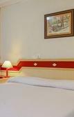 Туры в отель Hotel Leao da Montanha Туры в отель Hotel Leao da Montanha