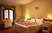 Туры в отель Hotel Leao da Montanha Туры в отель Hotel Leao da Montanha