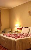 Туры в отель Hotel Leao da Montanha Туры в отель Hotel Leao da Montanha