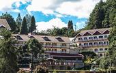 Туры в отель Hotel Leao da Montanha Туры в отель Hotel Leao da Montanha
