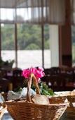 Туры в отель Hotel Leao da Montanha Туры в отель Hotel Leao da Montanha