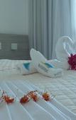 Туры в отель Wave Suites Hotel & Lounge Bar Туры в отель Wave Suites Hotel & Lounge Bar