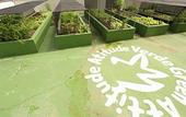 Туры в отель Hotel Verdegreen Туры в отель Hotel Verdegreen