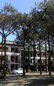 Туры в отель Praia Mole Hotel Туры в отель Praia Mole Hotel