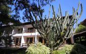 Туры в отель Praia Mole Hotel Туры в отель Praia Mole Hotel
