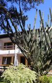 Туры в отель Praia Mole Hotel Туры в отель Praia Mole Hotel
