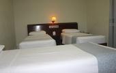 Туры в отель David Plaza Hotel Туры в отель David Plaza Hotel