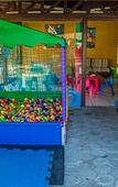Туры в отель Jardim Atlantico Beach Resort Туры в отель Jardim Atlantico Beach Resort