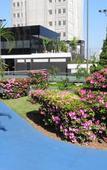 Туры в отель Plaza Inn Small Town Flat Туры в отель Plaza Inn Small Town Flat