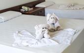 Туры в отель Hotel Monalisa Туры в отель Hotel Monalisa