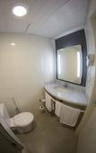 Туры в отель ibis Taubate Туры в отель ibis Taubate