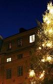 Туры в отель Lady Hamilton hotel Туры в отель Lady Hamilton hotel