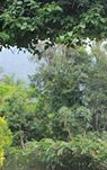 Туры в отель Pousada Refugio de Maresias Туры в отель Pousada Refugio de Maresias