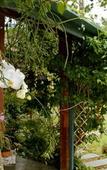 Туры в отель Pousada Refugio de Maresias Туры в отель Pousada Refugio de Maresias