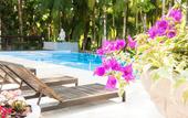 Туры в отель Timbo Park Hotel Туры в отель Timbo Park Hotel