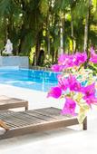 Туры в отель Timbo Park Hotel Туры в отель Timbo Park Hotel