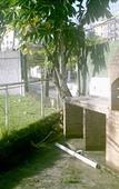 Туры в отель Acropolis Marina Hotel Туры в отель Acropolis Marina Hotel