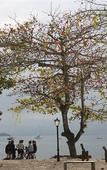 Туры в отель Geko Pousada Paraty Туры в отель Geko Pousada Paraty