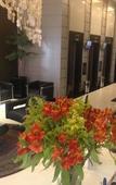 Туры в отель Higienopolis Hotel & Suites Туры в отель Higienopolis Hotel & Suites