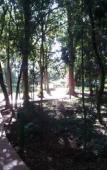 Туры в отель SUICA IGUACU Hotel & Resort Туры в отель SUICA IGUACU Hotel & Resort