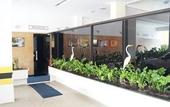 Туры в отель Hotel Sempre Executive Туры в отель Hotel Sempre Executive