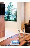 Туры в отель Hotel Caracas Rio Туры в отель Hotel Caracas Rio