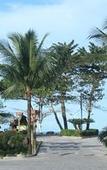 Туры в отель Hotel Aldeia da Praia Туры в отель Hotel Aldeia da Praia