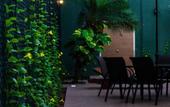 Туры в отель Pauli Boutique Hotel Туры в отель Pauli Boutique Hotel
