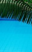 Туры в отель Pauli Boutique Hotel Туры в отель Pauli Boutique Hotel