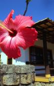 Туры в отель Residencial Cabanas da Praia Mole Туры в отель Residencial Cabanas da Praia Mole