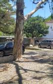 Туры в отель Residencial Cabanas da Praia Mole Туры в отель Residencial Cabanas da Praia Mole