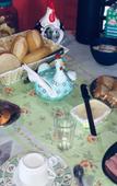 Туры в отель Pousada My House Cabo Frio Туры в отель Pousada My House Cabo Frio