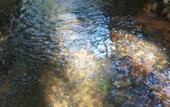 Туры в отель Pousada Vale das Aguas Туры в отель Pousada Vale das Aguas