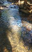 Туры в отель Pousada Vale das Aguas Туры в отель Pousada Vale das Aguas