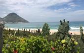 Туры в отель LONGBOARD PARADISE SUITES Туры в отель LONGBOARD PARADISE SUITES